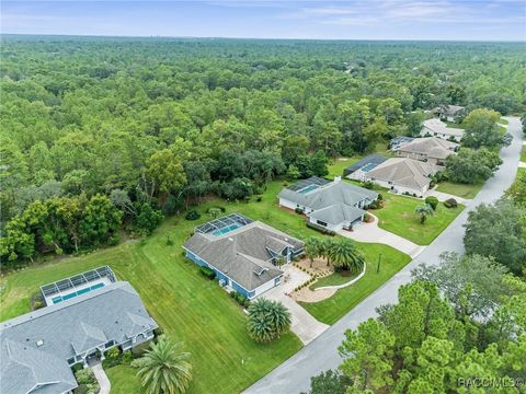 A home in Homosassa