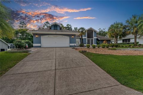 A home in Homosassa