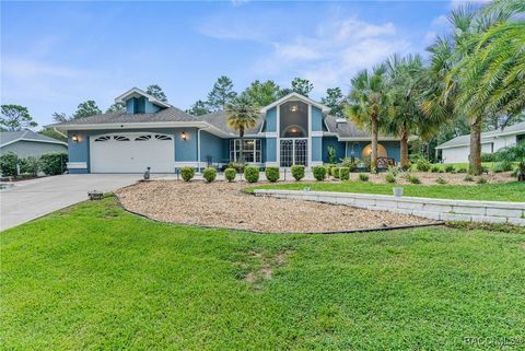 A home in Homosassa