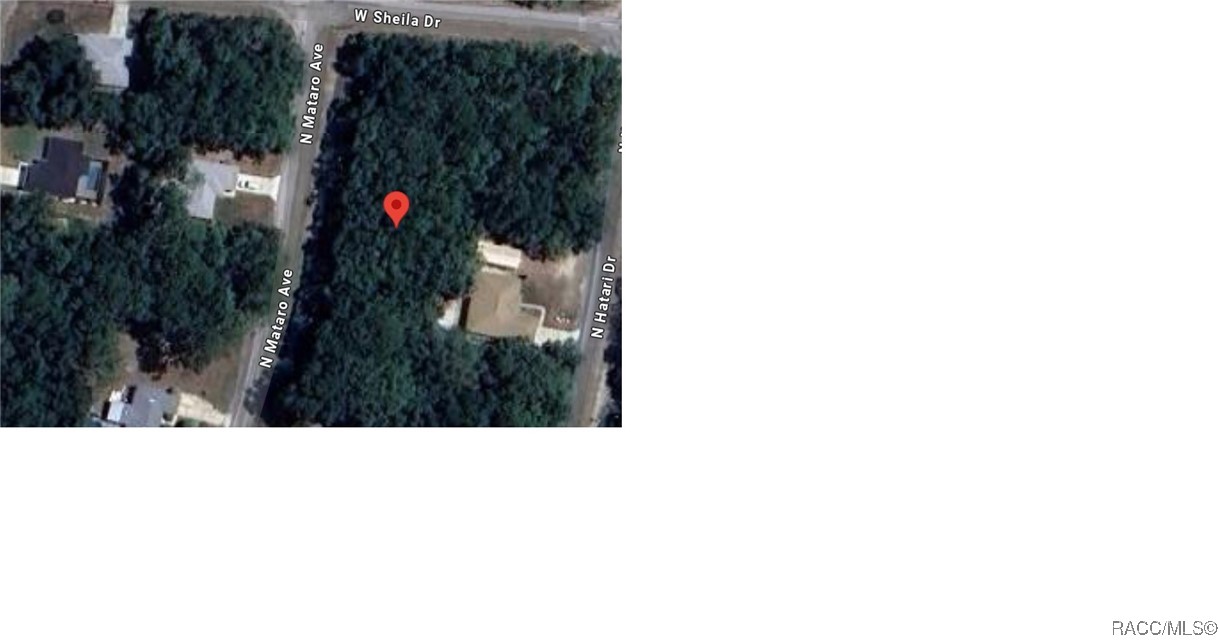 10751 N Mataro Avenue, Citrus Springs, Florida image 1