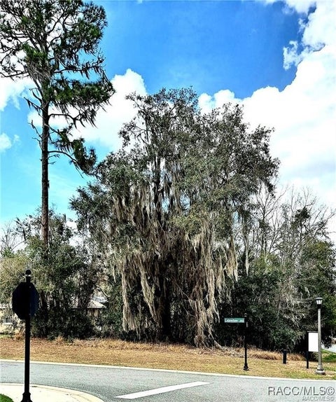 Vacant Land For Sale - 494 W Cobblestone Loop<br/> Citrus County, Hernando, FL 34442