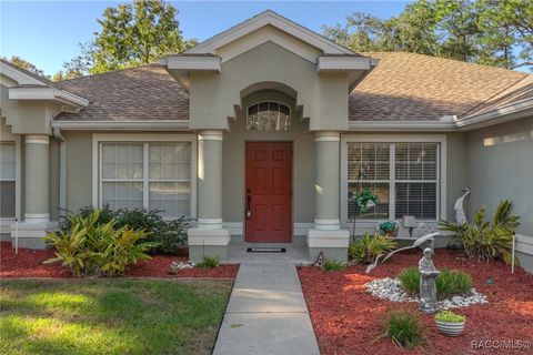 A home in Homosassa