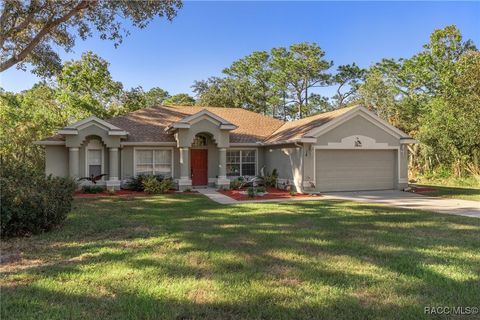 A home in Homosassa