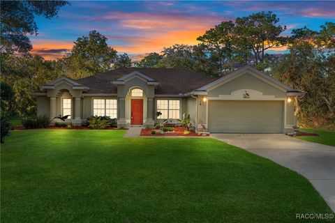 A home in Homosassa