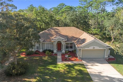 A home in Homosassa