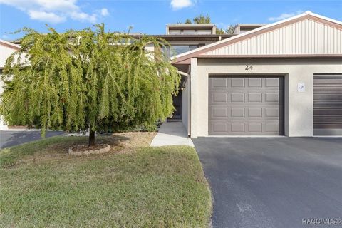 A home in Homosassa