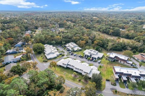 A home in Homosassa