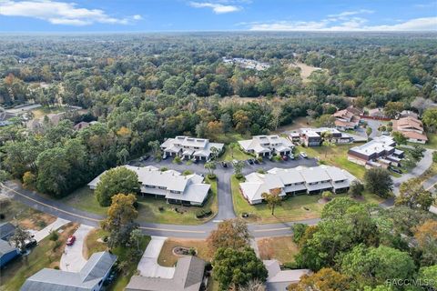 A home in Homosassa