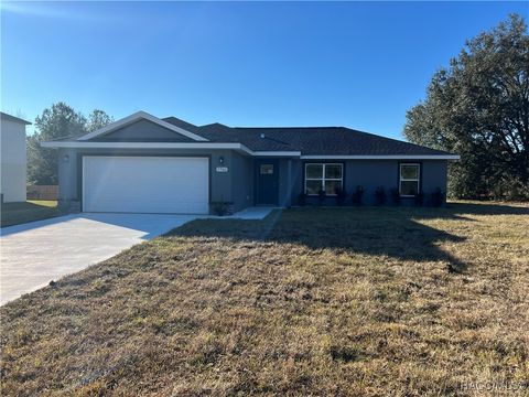 A home in Dunnellon