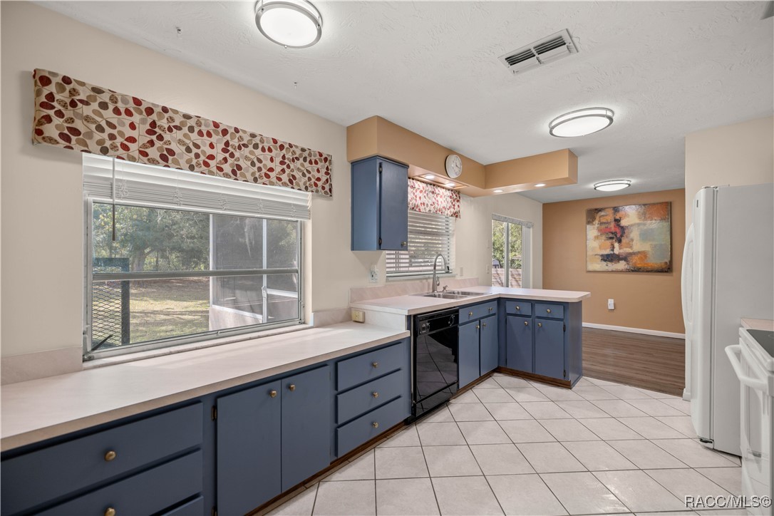 16 New Florida Avenue, Beverly Hills, Florida image 2