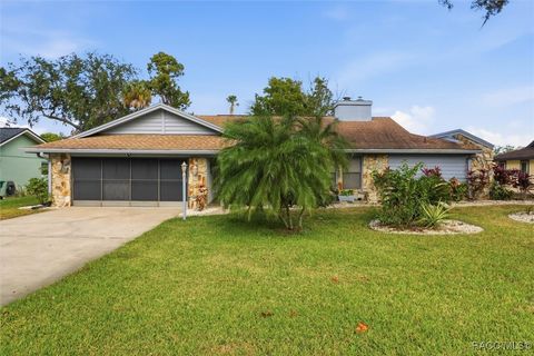 11721 W Riverhaven Drive Homosassa FL 34448