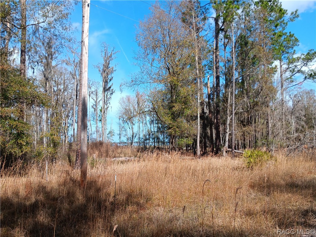 Sw 137th Street, Waldo, Florida image 8