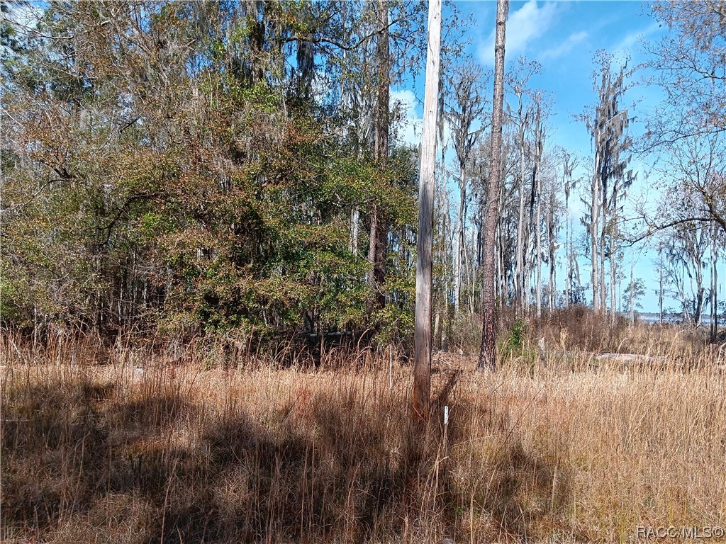 Sw 137th Street, Waldo, Florida image 5