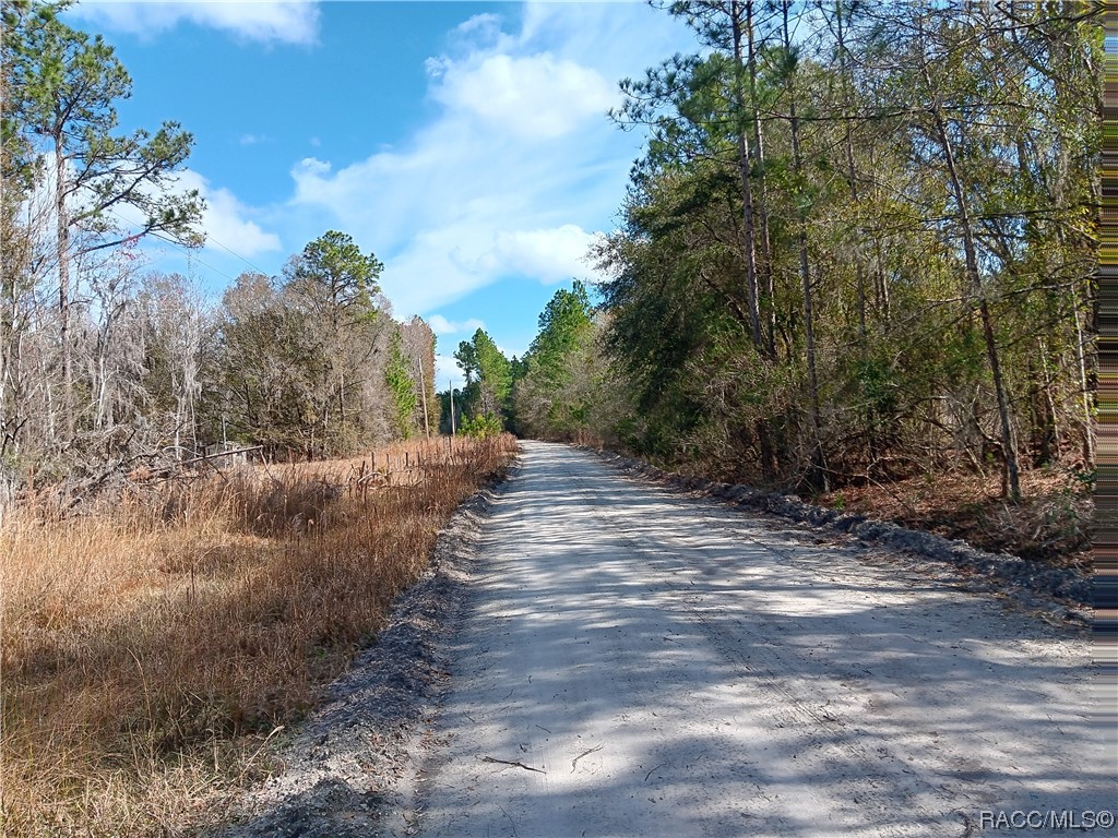 Sw 137th Street, Waldo, Florida image 3