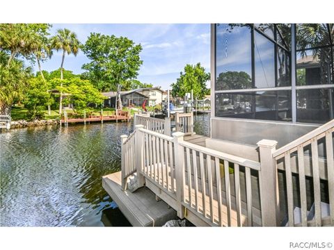 A home in Homosassa