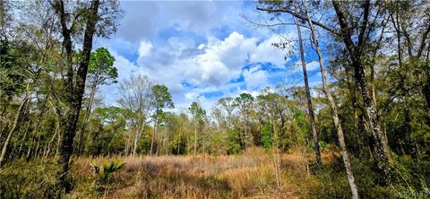 Vacant Land For Sale - 3491 E Stage Coach Trail<br/> Inverness, FL 34452