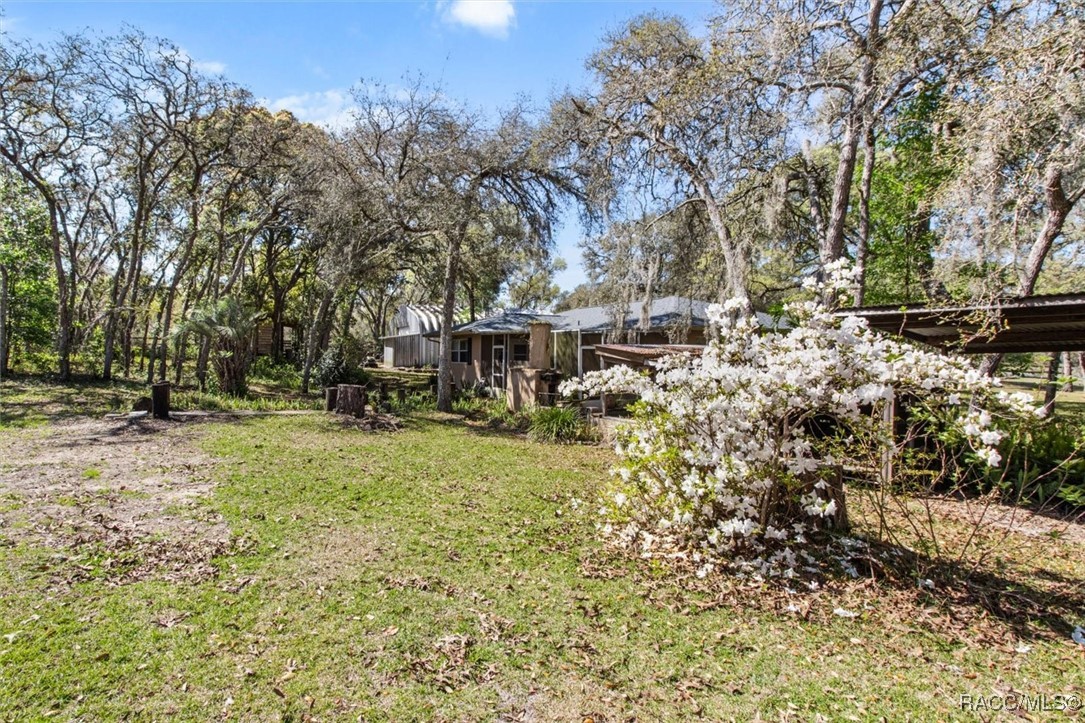 159 S Salisbury Terrace, Lecanto, Florida image 49