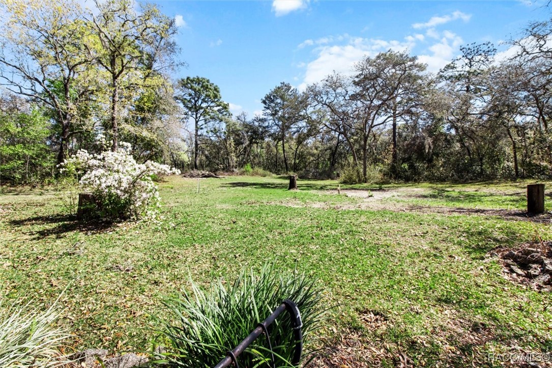 159 S Salisbury Terrace, Lecanto, Florida image 47