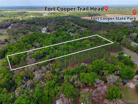 Vacant Land For Sale - 8248 E Fort Cooper Road<br/> Inverness, FL 34450