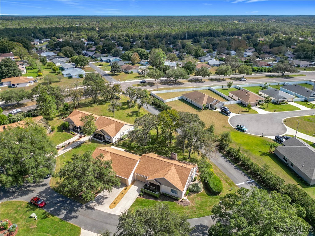 3555 N Willowtree Point, Beverly Hills, Florida image 8