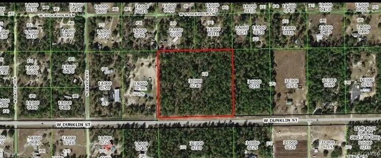 5929 W Dunklin Street, Dunnellon, Florida image 4