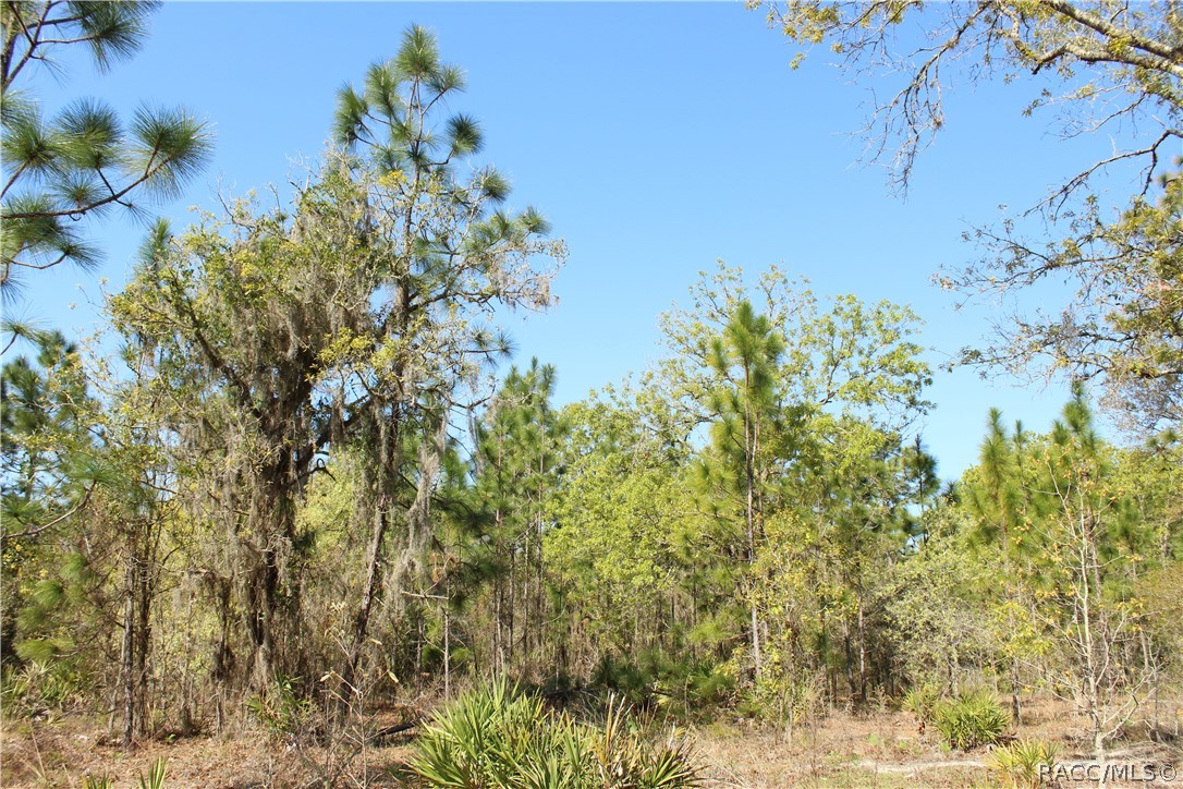 1267 N Jorie Terrace