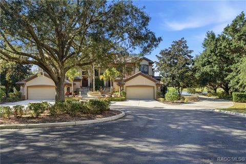 1141 W Pointe Vista Path Hernando FL 34442