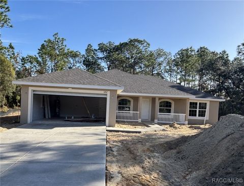 A home in Dunnellon