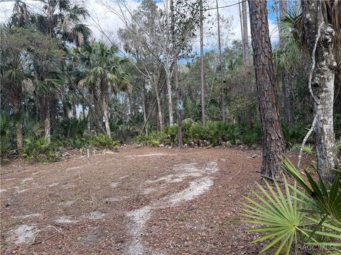Vacant Land For Sale - SE 193rd Place<br/> Yankeetown, FL 34498