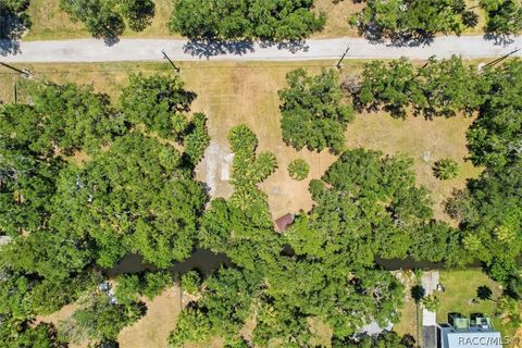 Vacant Land For Sale - 14365 W Shorecliff Court<br/> Citrus County, Crystal River, FL 34429