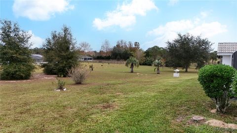 A home in Hernando