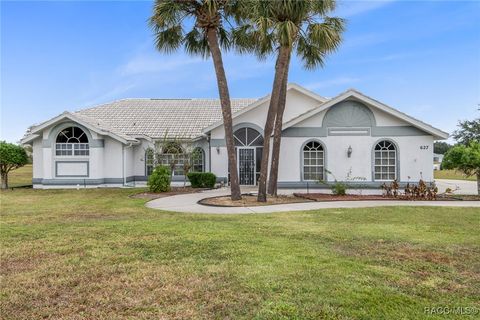 A home in Hernando