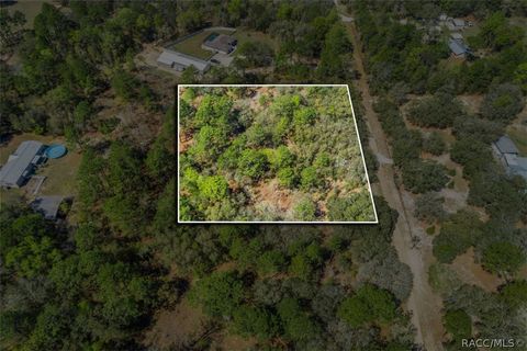 Vacant Land For Sale - 468 E Nicholas Street<br/> Hernando, FL 34442