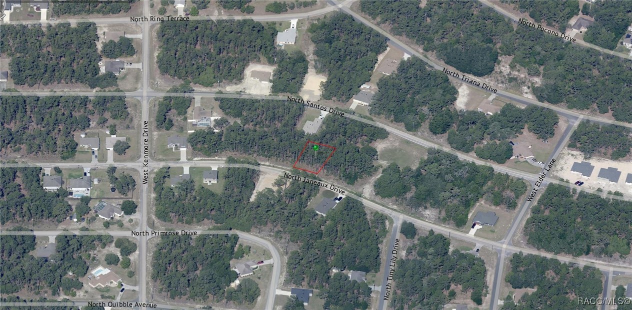 7942 N Janeaux Drive, Citrus Springs, Florida image 5
