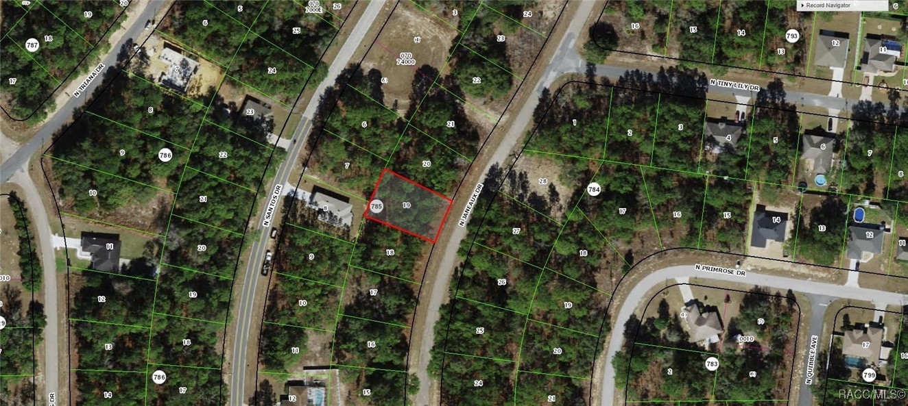 7942 N Janeaux Drive, Citrus Springs, Florida image 1