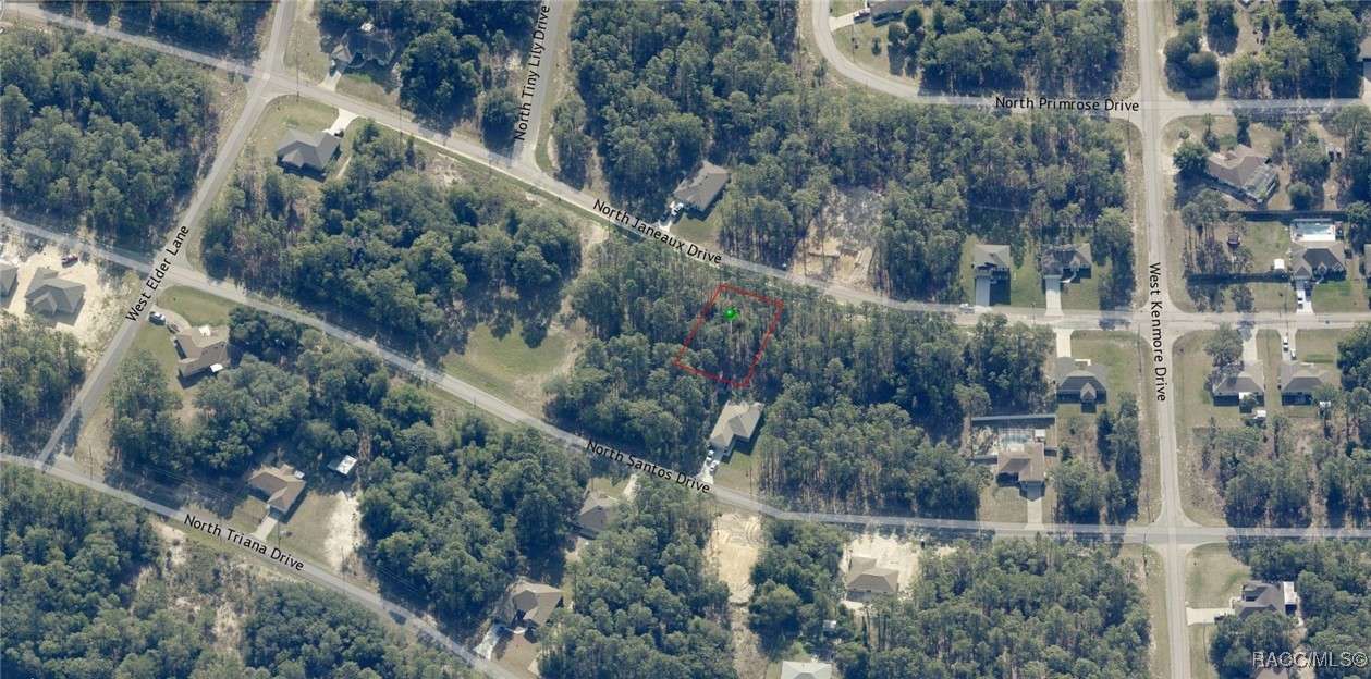 7942 N Janeaux Drive, Citrus Springs, Florida image 3