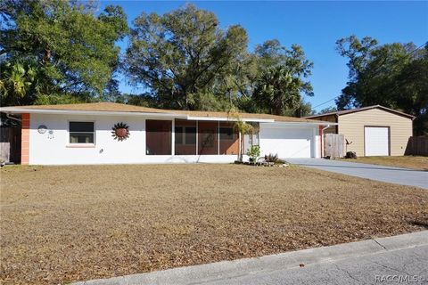 3523 S Dayton Terrace Inverness FL 34452