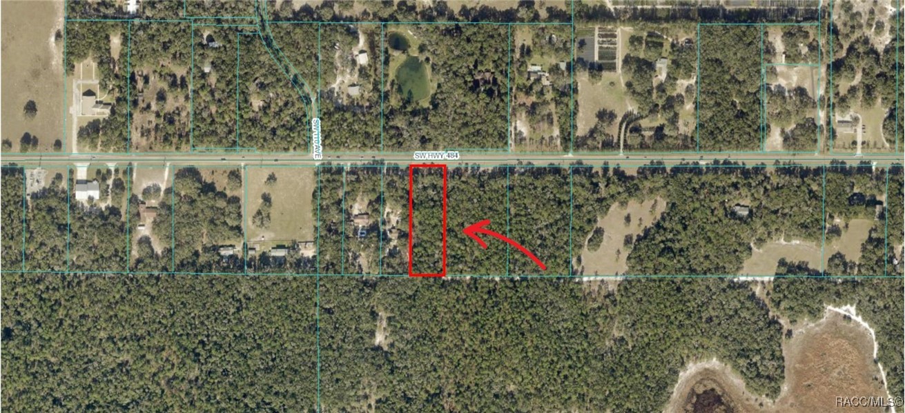 TBD SW Highway 484, Dunnellon, Florida image 1