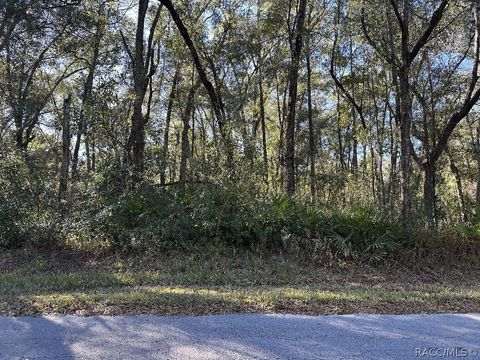 Vacant Land For Sale - 462 N Dugan Avenue<br/> Inverness, FL 34453