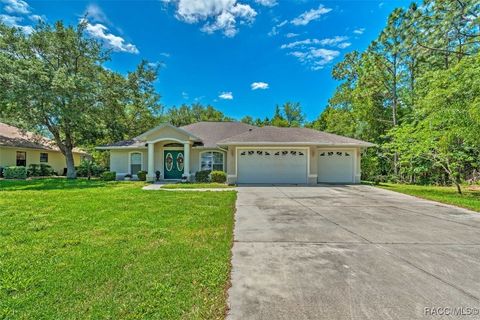 A home in Citrus Springs