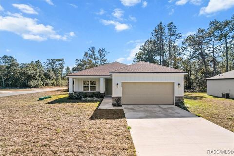 A home in Citrus Springs