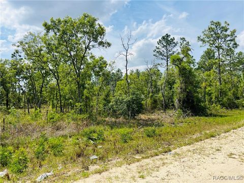 Homes For Sale - 0000 NE 132 Terrace<br/> Williston, FL 32696