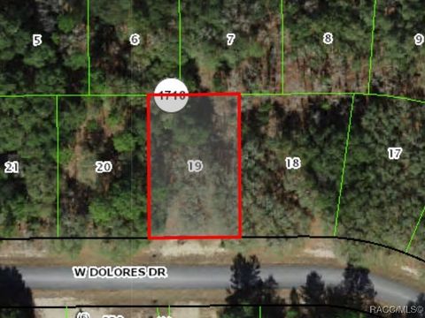 Vacant Land For Sale - 1427 W Dolores Drive<br/> Citrus Springs, FL 34434