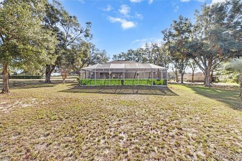 A home in Hernando