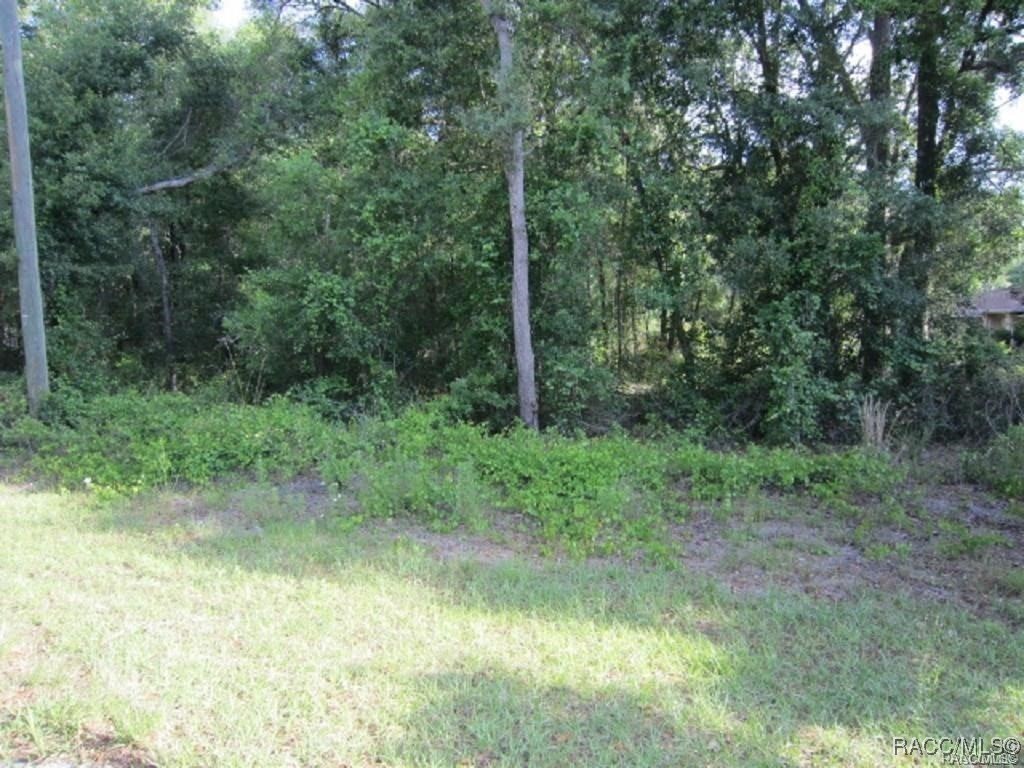 3893 E Forest Drive, Inverness, Florida image 2