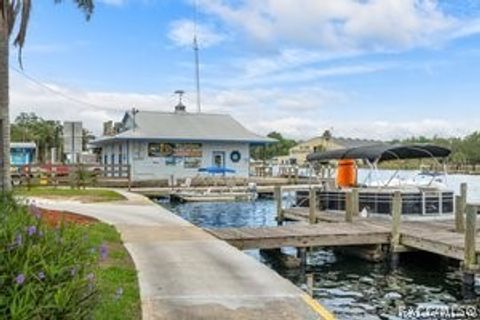 A home in Homosassa