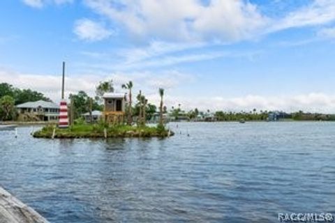 A home in Homosassa