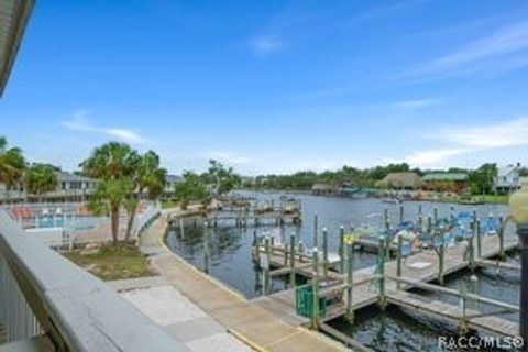 A home in Homosassa