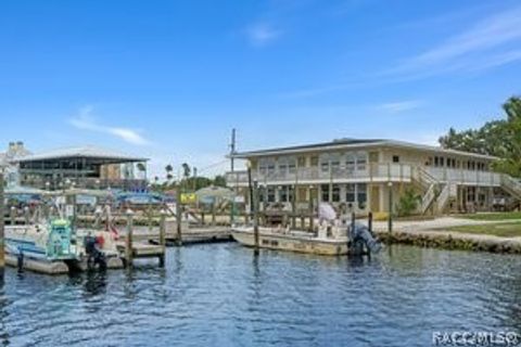 A home in Homosassa