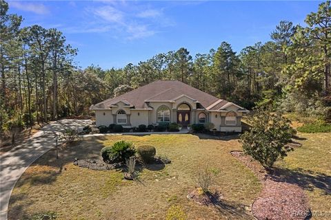 6052 N Pueblo Terrace Beverly Hills FL 34465